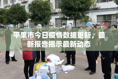 平果市今日疫情数据更新,最新报告揭示最新动态