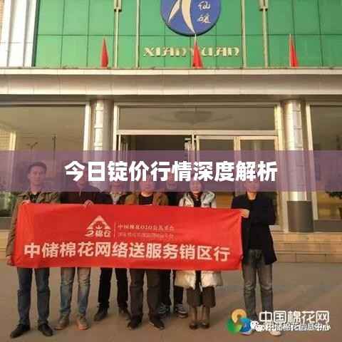 今日锭价行情深度解析