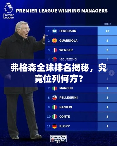 弗格森全球排名揭秘,究竟位列何方?