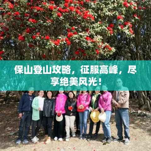 保山登山攻略,征服高峰,尽享绝美风光!
