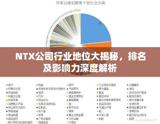 NTX公司行业地位大揭秘,排名及影响力深度解析