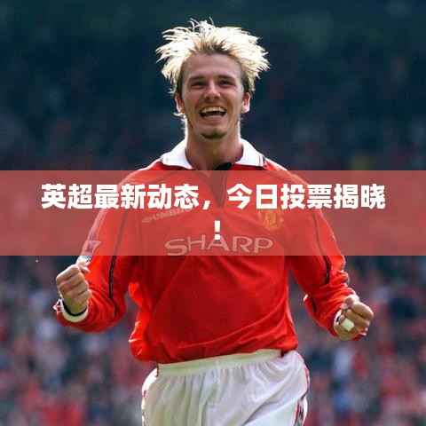 英超最新动态,今日投票揭晓!