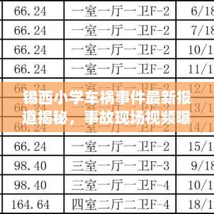 锡西小学车祸事件最新报道揭秘，事故现场视频曝光