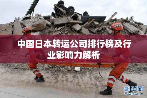 鸿飞雪爪 第2页