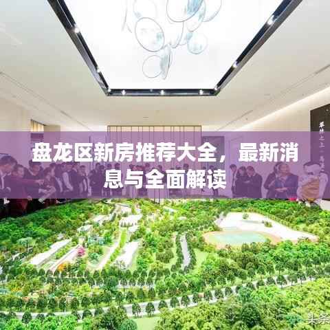 盘龙区新房推荐大全,最新消息与全面解读