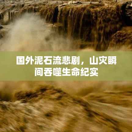 飞鸟依人 第2页