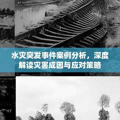 轻飞曼舞 第2页