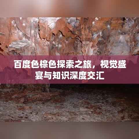 百度色棕色探索之旅,视觉盛宴与知识深度交汇