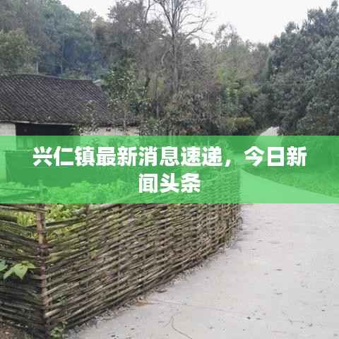 兴仁镇最新消息速递，今日新闻头条