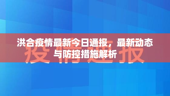 洪合疫情最新今日通报,最新动态与防控措施解析