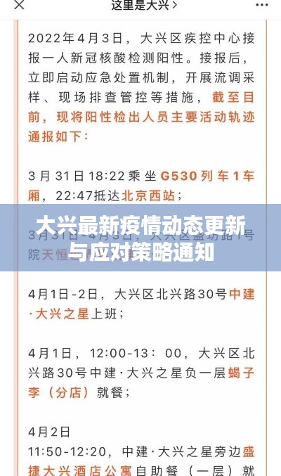 大兴最新疫情动态更新与应对策略通知