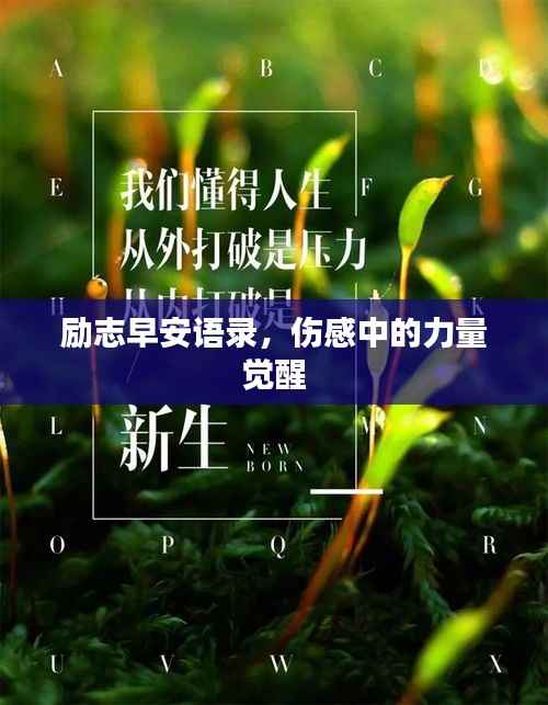 励志早安语录,伤感中的力量觉醒