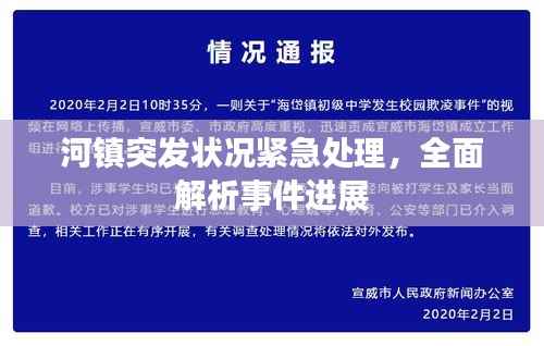 河镇突发状况紧急处理,全面解析事件进展