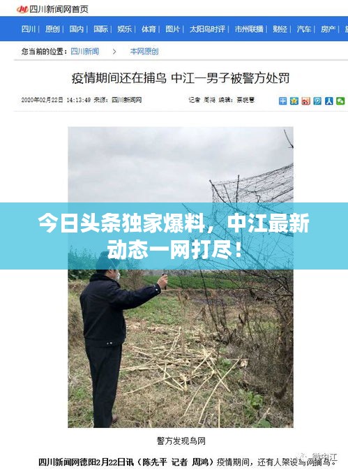 nieqiaoyandeng 第2页