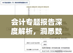 会计专题报告深度解析,洞悉数字背后的奥秘