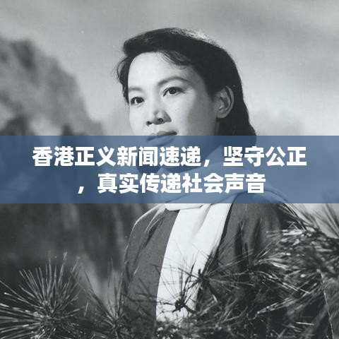 香港正义新闻速递,坚守公正,真实传递社会声音