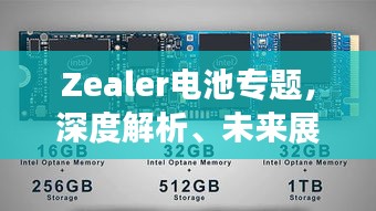Zealer电池专题,深度解析、未来展望,全方位揭秘电池技术革新之路