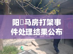 阳堌马房打架事件处理结果公布