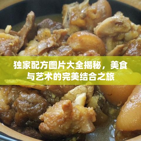 独家配方图片大全揭秘,美食与艺术的完美结合之旅