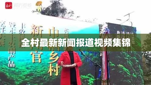 全村最新新闻报道视频集锦