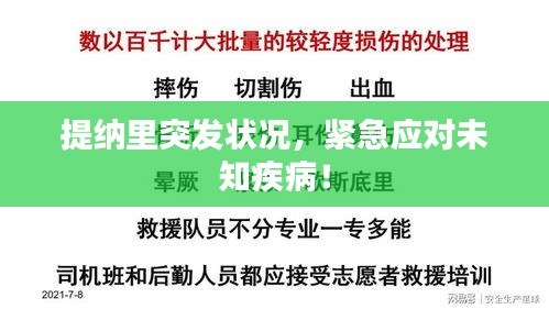 提纳里突发状况,紧急应对未知疾病!