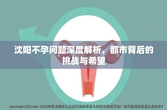 沈阳不孕问题深度解析,都市背后的挑战与希望