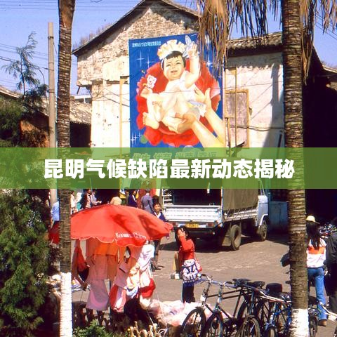 昆明气候缺陷最新动态揭秘