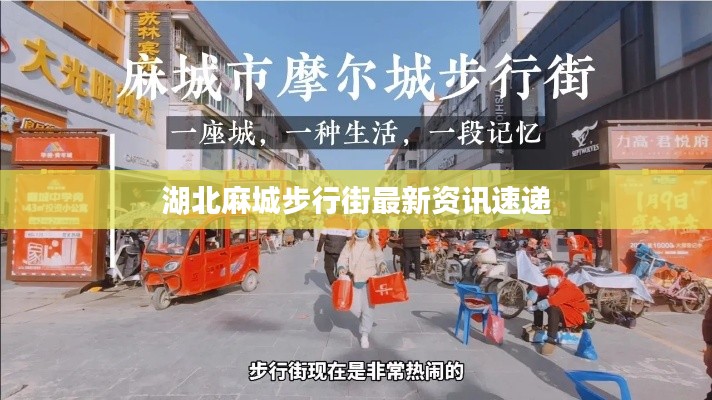 湖北麻城步行街最新资讯速递