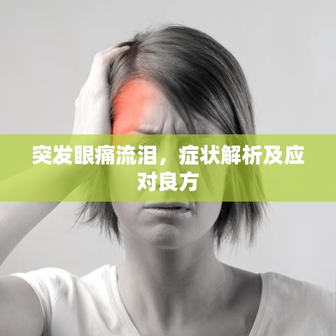 明夷于飞 第2页