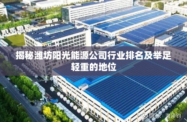 揭秘潍坊阳光能源公司行业排名及举足轻重的地位