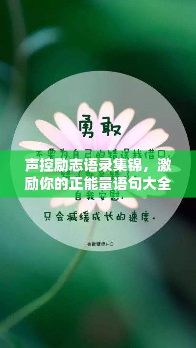 声控励志语录集锦，激励你的正能量语句大全